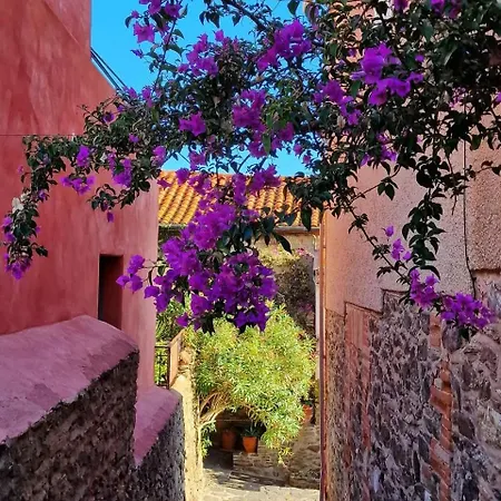Holiday home Ideal Famille Et Amis, 2 En 1 Maison, Patio Prive, Parking, Quartier Des Peintres Et Plages A Pieds Collioure
