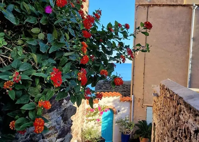 Σπίτι διακοπών Ideal Famille Et Amis, 2 En 1 Maison, Patio Prive, Parking, Quartier Des Peintres Et Plages A Pieds