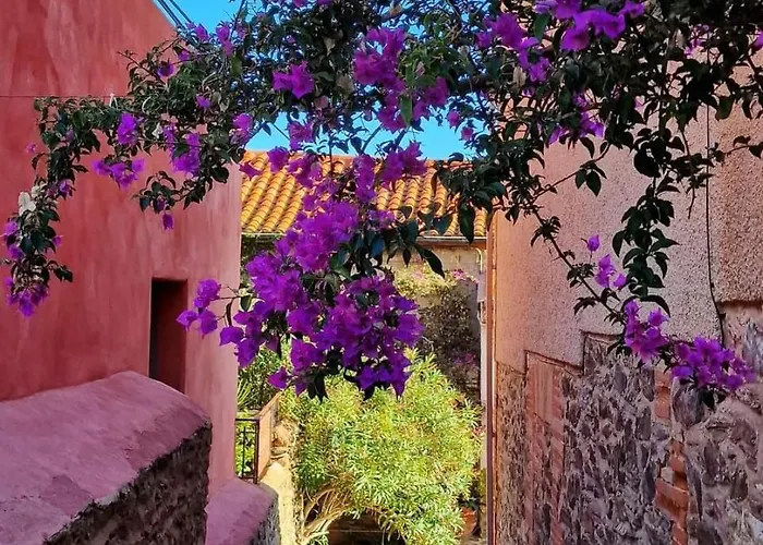 Σπίτι διακοπών Ideal Famille Et Amis, 2 En 1 Maison, Patio Prive, Parking, Quartier Des Peintres Et Plages A Pieds Κολιούρ