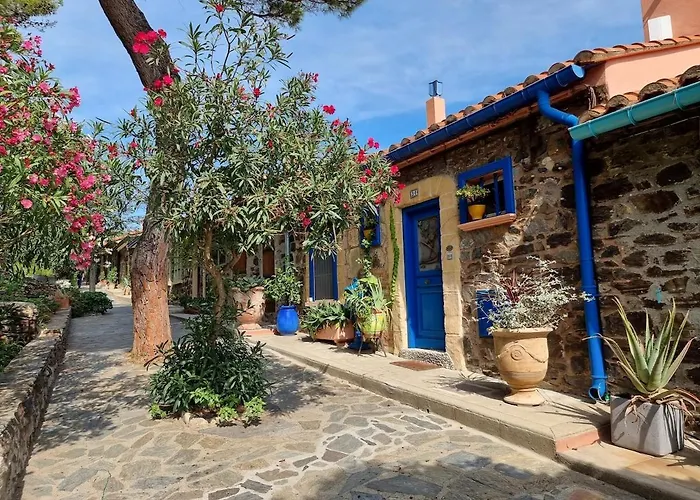 Ideal Famille Et Amis, 2 En 1 Maison, Patio Prive, Parking, Quartier Des Peintres Et Plages A Pieds *